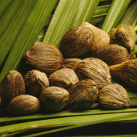 Babassu Oil - 100% Pure