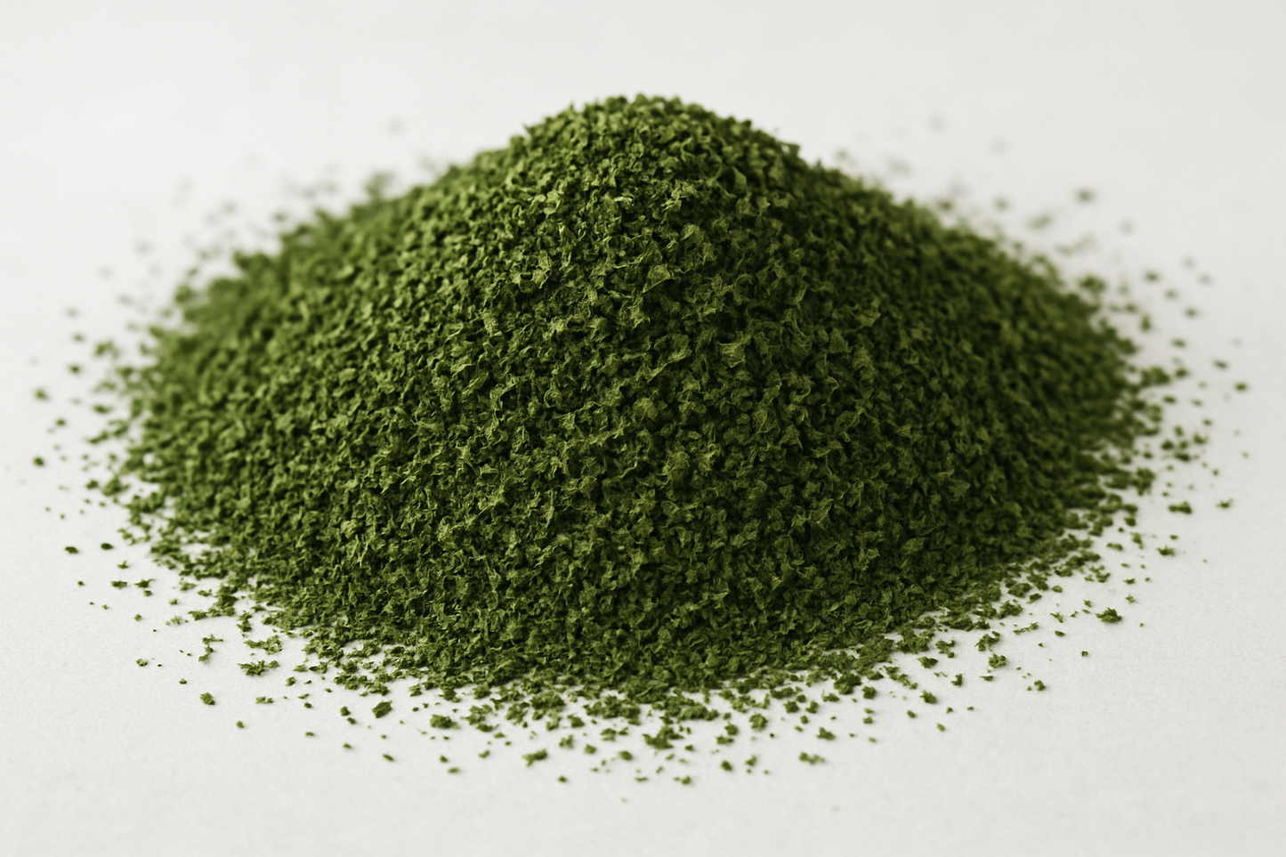 sifted nettle leaf loose tea 